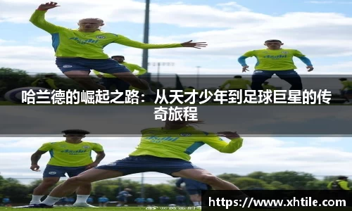 3377体育官网