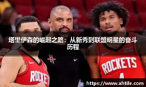 3377体育